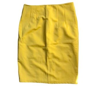 Pencil Skirt, yellow gold and professional cut